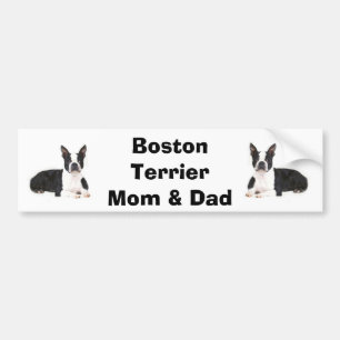 Boston-Terrier-Mama-u. Vater-Autoaufkleber Autoaufkleber