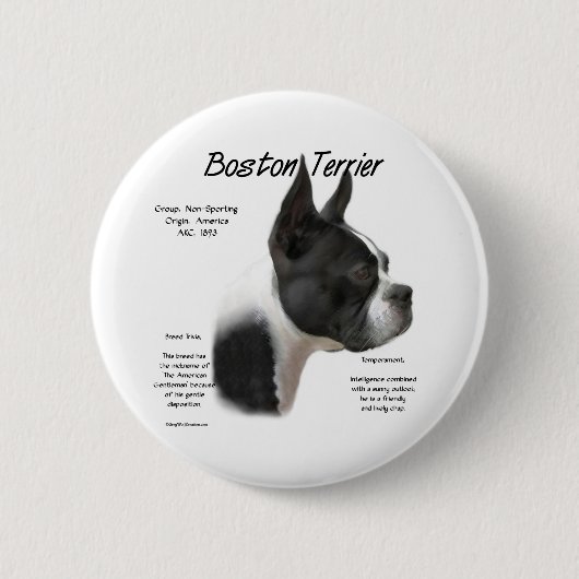Boston Terrier Meet Breed - Button (Vorderseite)