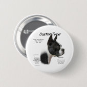 Boston Terrier Meet Breed - Button (Vorne & Hinten)