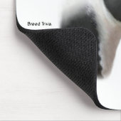 Boston Terrier Meet Breed Mousepad (Ecke)