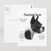 Boston Terrier Meet Breed Postkarte (Vorne/Hinten)