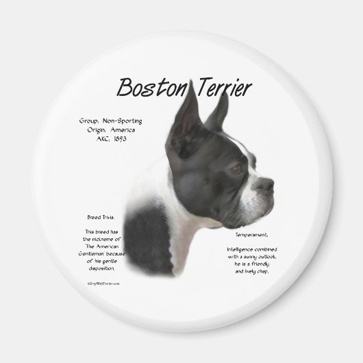 Boston Terrier Meet the Breed - Magnet (Vorne)