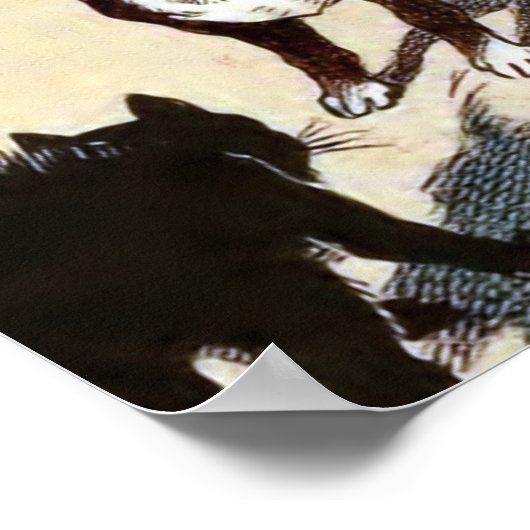 Boston Terrier Meets Cat Poster (Ecke)