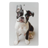 Boston Terrier Mini Klemmbrett (Rückseite)