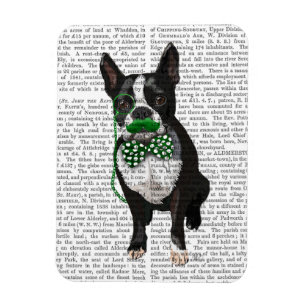 Boston Terrier mit dem grünen Schnurrbart und Magnet