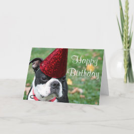 Boston Terrier mit Geburtstagshut Karte