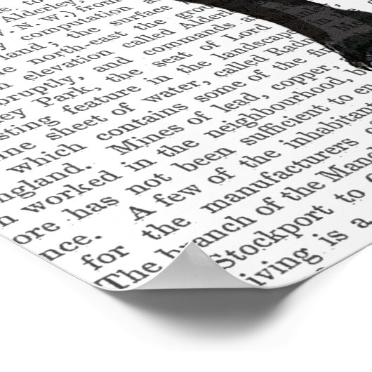 Boston Terrier mit grünem Schnurrbart Poster (Ecke)