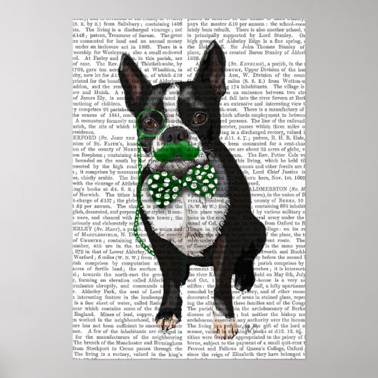 Boston Terrier mit grünem Schnurrbart Poster (Vorne)