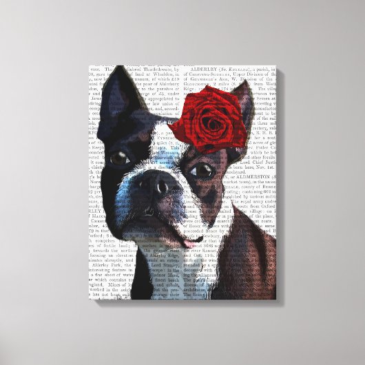 Boston Terrier mit Rose auf Head Leinwanddruck (Vorderseite)