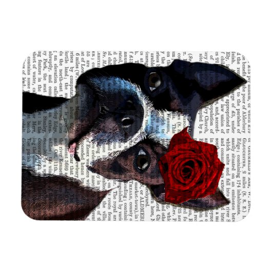 Boston Terrier mit Rose auf Head Magnet (Horizontal)