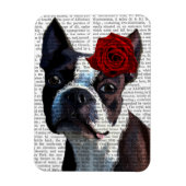 Boston Terrier mit Rose auf Head Magnet (Vertikal)