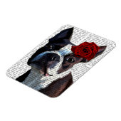 Boston Terrier mit Rose auf Head Magnet (Linke Seite)