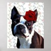 Boston Terrier mit Rose auf Head Poster (Vorne)