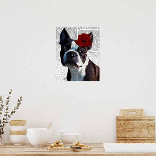 Boston Terrier mit Rose auf Head Poster (Küche)