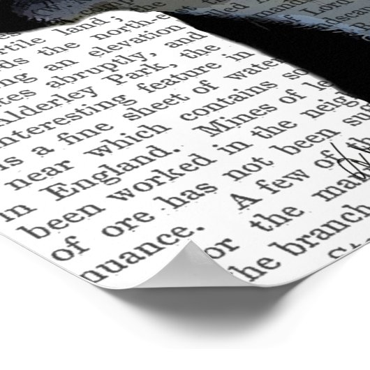 Boston Terrier mit Rose auf Head Poster (Ecke)