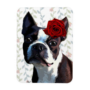 Boston-Terrier mit Rose auf Kopf 2 Magnet