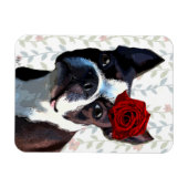 Boston Terrier mit Rose auf Nummer 2 Magnet (Horizontal)