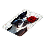 Boston Terrier mit Rose auf Nummer 2 Magnet (Linke Seite)