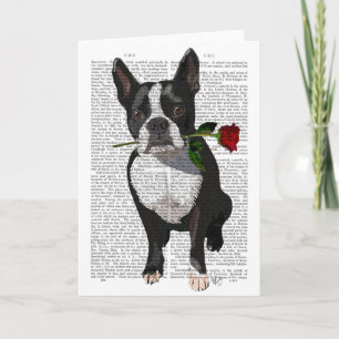 Boston Terrier mit Rose im Mund Karte