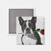 Boston Terrier mit Rose im Mund Magnet (Vorderseite/Rückseite)