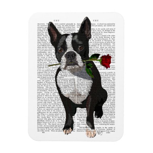 Boston Terrier mit Rose im Mund Magnet (Vertikal)