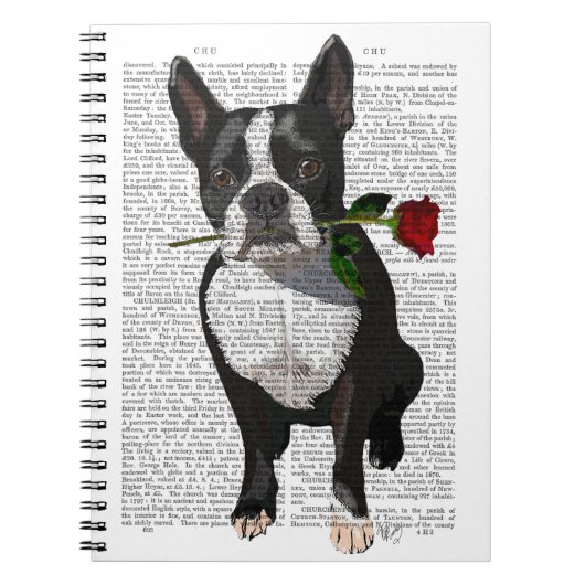 Boston Terrier mit Rose im Mund Notizblock (Vorderseite)