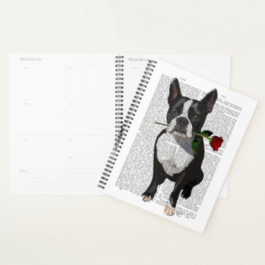 Boston Terrier mit Rose im Mund Planer (Anzeige)