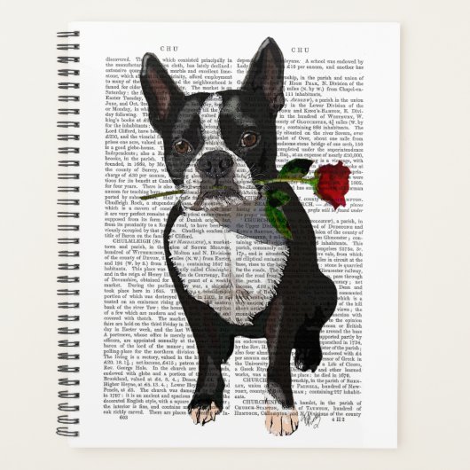 Boston Terrier mit Rose im Mund Planer (Vorderseite)