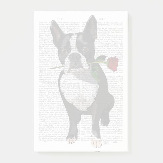 Boston Terrier mit Rose im Mund Post-it Klebezettel (Vorderseite)