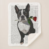 Boston Terrier mit Rose im Mund Sherpadecke (Vorderseite)