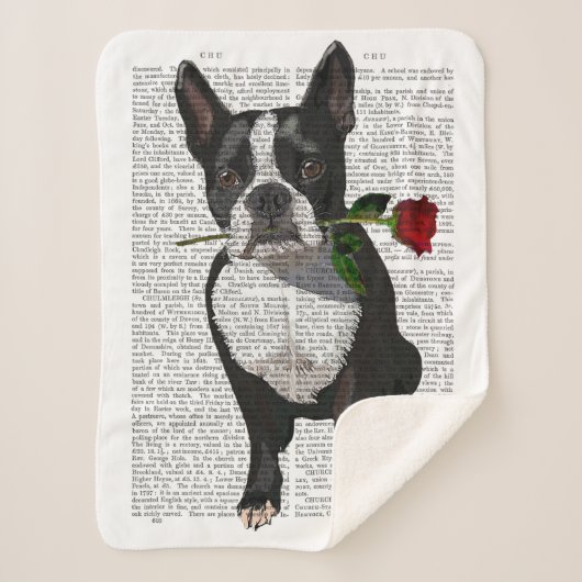 Boston Terrier mit Rose im Mund Sherpadecke (Vorderseite)