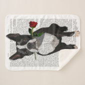 Boston Terrier mit Rose im Mund Sherpadecke (Vorderseite (Horizontal))