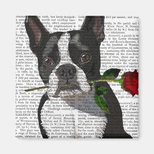Boston Terrier mit Rose in Mouth Magnet