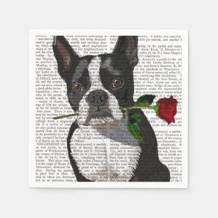Boston Terrier mit Rose in Mouth Serviette