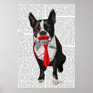Boston-Terrier mit roten Krawatte und dem Poster