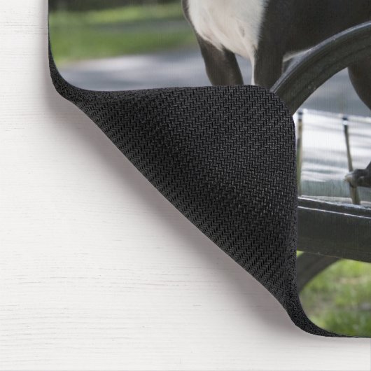 Boston Terrier Mousepad (Ecke)