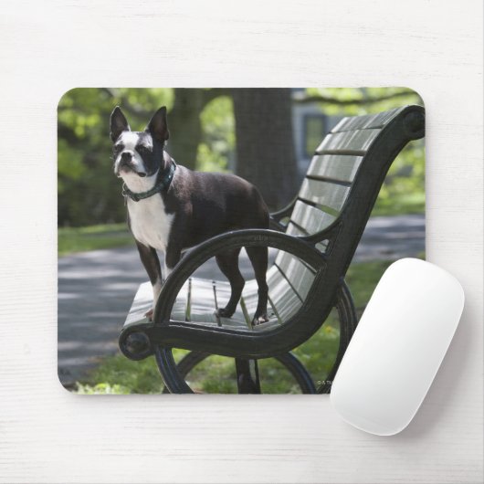 Boston Terrier Mousepad (Mit Mouse)