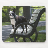 Boston Terrier Mousepad (Vorne)