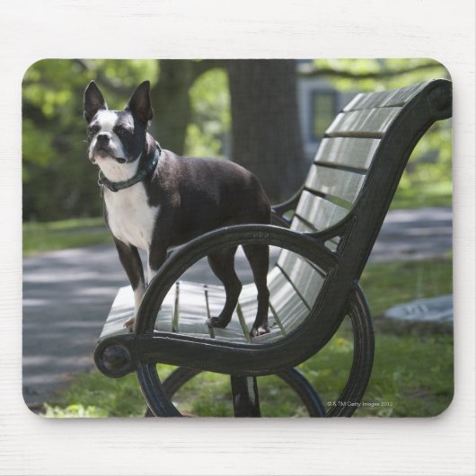 Boston Terrier Mousepad (Vorne)