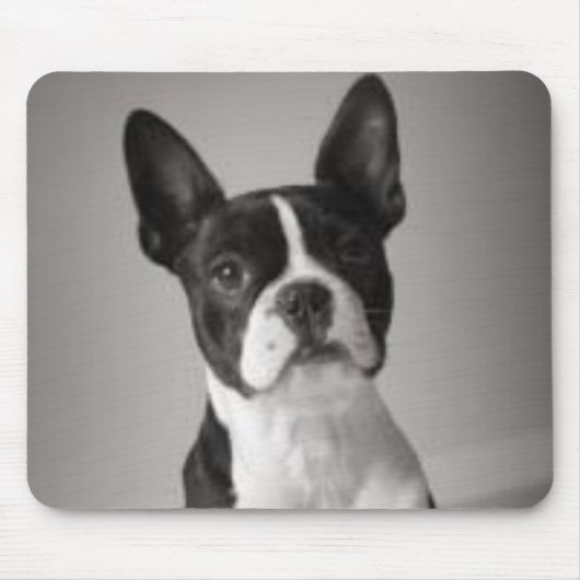 Boston Terrier Mousepad (Vorne)