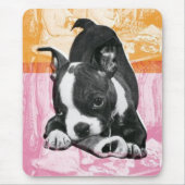 Boston Terrier mousepad (Vorne)