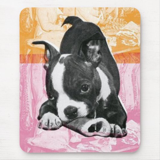 Boston Terrier mousepad (Vorne)