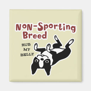 Boston Terrier "Nicht-Sportliche Zucht " Magnet