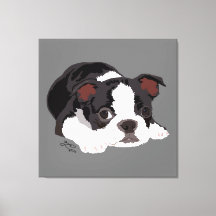 Boston Terrier Niedliche Welpenästhetik Kunstkunst