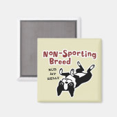 Boston Terrier "Non-Sporting Breed" Magnet (Vorderseite/Rückseite)