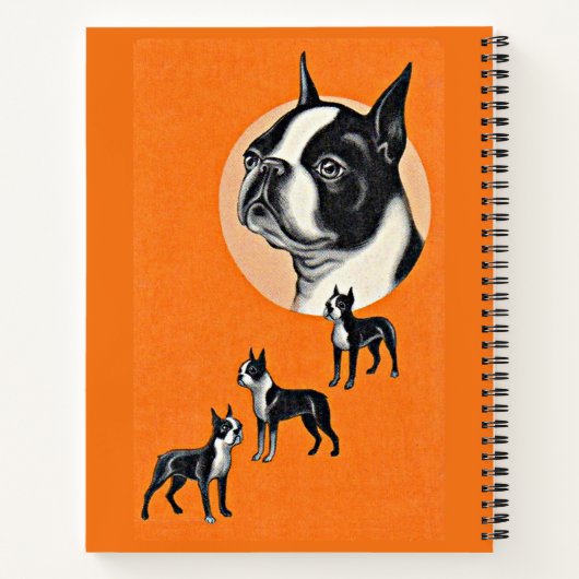 Boston Terrier Notizblock (Rückseite)