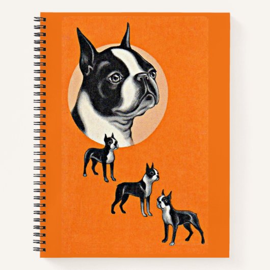 Boston Terrier Notizblock (Vorderseite)
