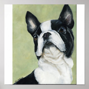 Boston Terrier Original Dog Art Print Poster