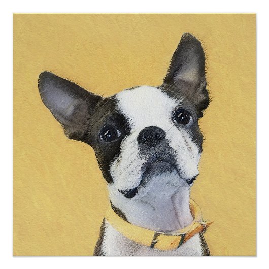 Boston Terrier Painting - Niedliche Original Dog A Poster (Vorderseite)