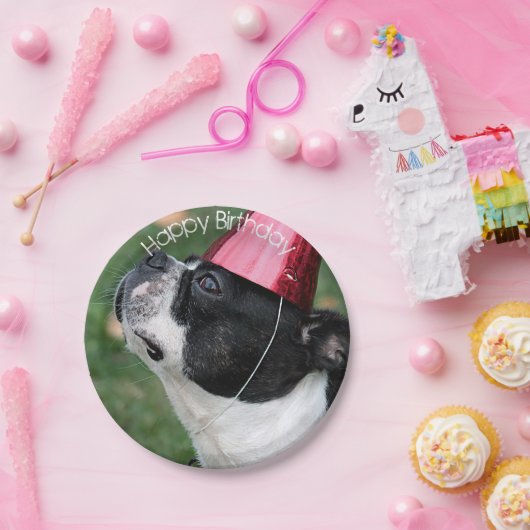Boston Terrier Pappteller (Party)